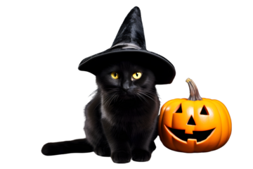 Black cat in halloween hat lying on the floor isolated on white background. Generative AI.