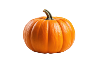 pumpkin whole mini look on white or PNG transparent background.
