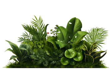 Exotic plants isolated on a white transparent background. Generative AI.