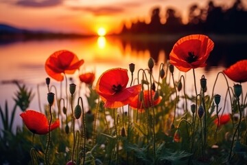 Impressionistic Red Poppies Blooming at Golden Sunrise in Meadow Generative AI