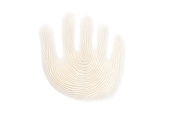 fingerprint hand palm texture isolated on white background. Generative AI.