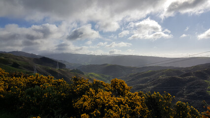 Scenic landscape view of rugged, wild and hilly terrain with wind turbines in Wellington, New Zealand Aotearoa