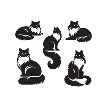 Purr-fect Shadows: Ragdoll Cat Silhouette Ensemble Portraying the Perfection of this Beloved Feline Companion - Ragdoll Cat Illustration - Ragdoll Cat Vector
