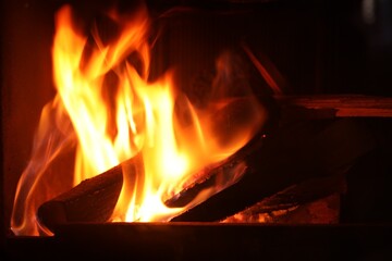 Bonfire with burning firewood on dark background