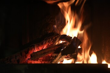 Bonfire with burning firewood on dark background, closeup