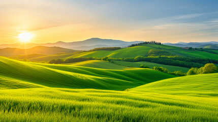 Obraz premium Serene Tuscany Landscape: A Lush Green Meadow