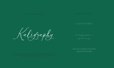 Signature Font Calligraphy Logotype Script Brush Font Type Font lettering handwritten
