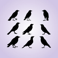 Lark bird black silhouette collection. Creative bird silhouette set. Bird vector and illustration
