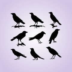 Lark bird black silhouette collection. Creative bird silhouette set. Bird vector and illustration