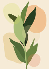 Botanic, botanical, plant, garden, nature, natural, green, eco, ecology, botany, leaf, leaves, tree, branch, flower, floral, flora, petal, spring, summer, Frame, poster, background, wallpaper, artwork