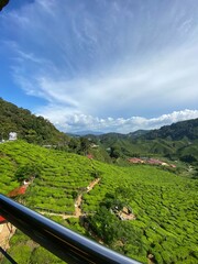 landscape with hills