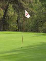 Obraz premium Green golf