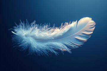 Single white bird feather over a dark blue background.