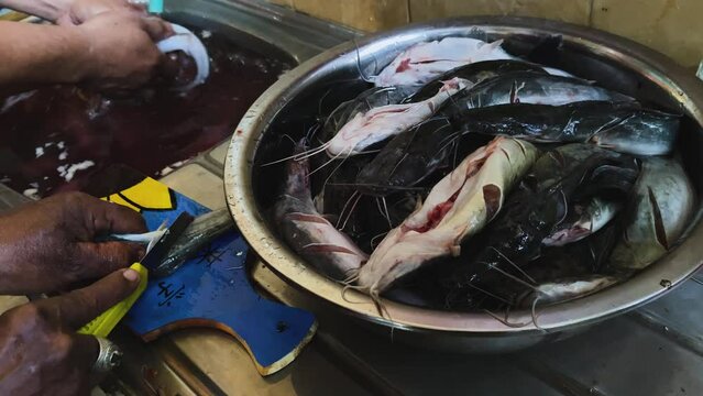 An Indonesian man washes, cuts and cleans raw catfish in a sink to cook and eat. Preparation for cooking.