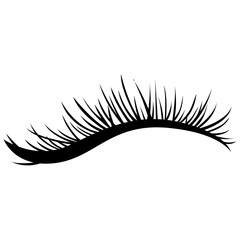 睫毛　エクステンション　つけまつげのベクターイラスト