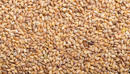 Buckwheat groats, brown hulled seeds. Buckwheat grains, background, texture.