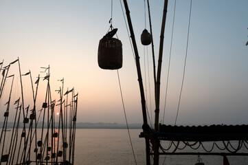  India 10 December 2023 Early in the Morning Bamboos are tied on the banks of river Ganga to...