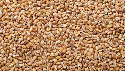 Buckwheat groats, brown hulled seeds. Buckwheat grains, background, texture.