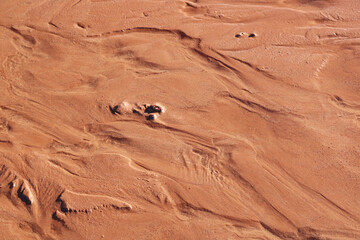 Close-up of red earth in park.