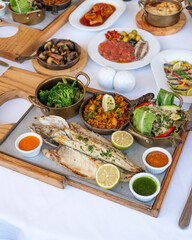 Colorful Spanish food assortment, with fish, paella and vegetables 