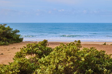 Sand dunes overgrown with bushes against the backdrop of a deserted beach and the endless blue...