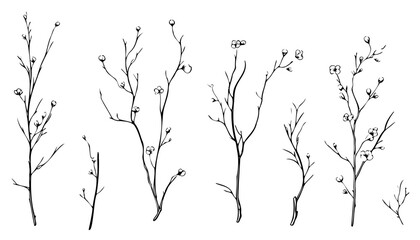 Tree branch engraving. Hand drawn forest twigs. Dry wood log and lumber rustic graphic templates. Natural spring elements set. Vector black and white drawing plant trunks - obrazy, fototapety, plakaty