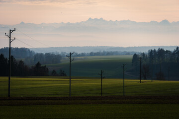 Powerline on a field with alps in the background - obrazy, fototapety, plakaty