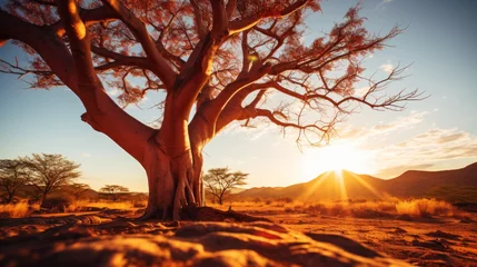 Zelfklevend Fotobehang Close-up of a baobab tree against a desert background. Scorching heat, sunshine. Desert landscape. Generative AI © AngrySun