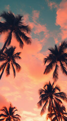 Fototapeta na wymiar Coconut palm tree silhouettes at sunset sky background. Vintage tone .