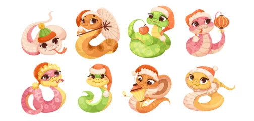 Tuinposter Set of cartoon cute snakes isolated on white background. Little child snake characters. Chinese horoscope zodiac sign, year of snake 2025. Friendly characters of smiling reptile. Vector illustration © GN.STUDIO