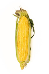 Corn cob on a white background