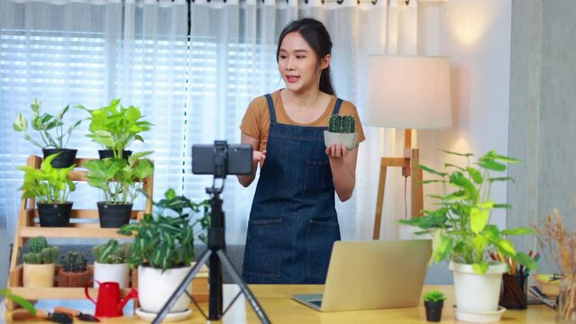 social distancing and work from home. Asian woman small business owner working with smartphone presents houseplants during online live stream at home. Flower and plant online shop