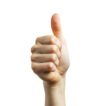 mano cerrada con el pulgar hacia arriba en signo de conformidad, sobre fondo blanco transparente png