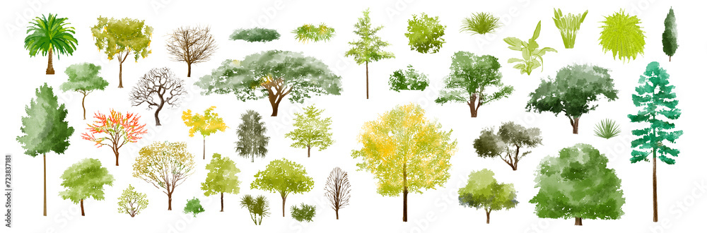 Poster tree watercolor illustration, minimal style tree painting hand drawn, side view, set of graphics tre
