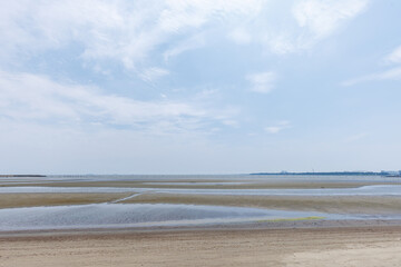 海　遠浅の干潟