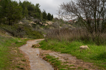 A Flooded Footpath in the Judea Mountains, Israel