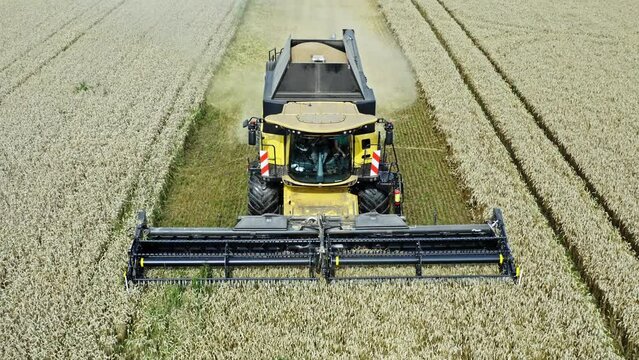 Combine harvester harvesting corn in the field aerial front view