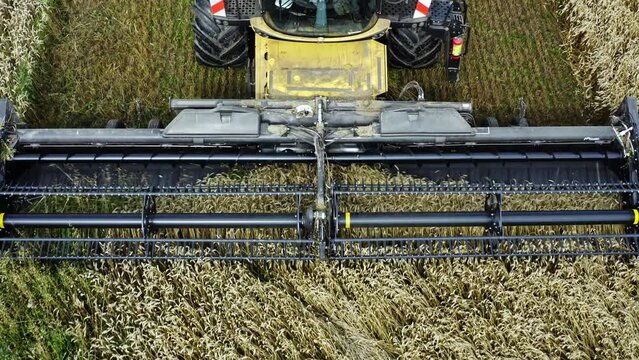 Combine harvester harvesting corn in the field front view