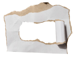 Torn piece of white cardboard with torn edges on an isolated background