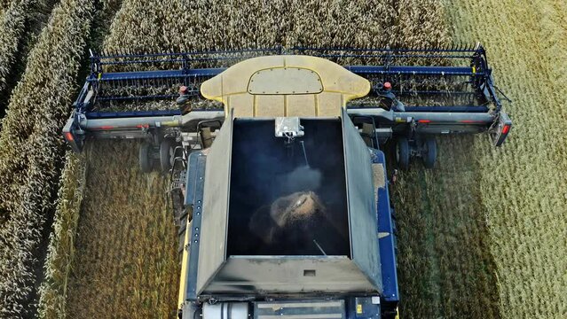 Combine harvester harvesting corn in the field view from the top