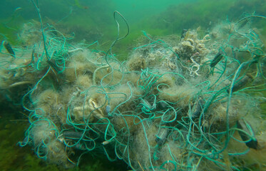 Lost fishing net lies on seabed in green algae Ulva on bright sunny day in sun glare in Black sea,...