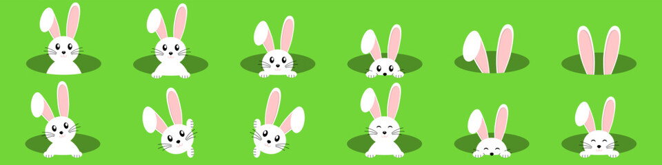 Set of vector Easter bunnies on a green background. Easter Bunnies. Easter bunny vector icon, rabbit in hole, cartoon ears on green background. Vector EPS 10
