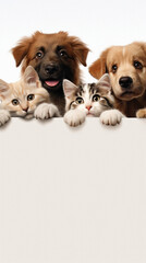 Group of puppies and kittens peeking out from behind a white banner