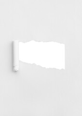 White Torn Paper Background