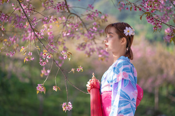 Pretty girl in a Yukata dress. Portrait fashion of Asian women wearing a traditional Japanese...