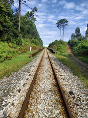 A railway track stretches forward, surrounded by greenery and trees under a partly cloudy sky