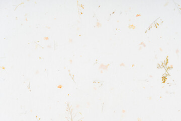 Fototapeta na wymiar White mulberry paper texture background.