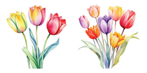 Cute Watercolor tulips