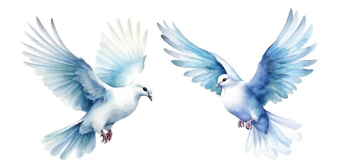 Fototapeta premium watercolor of dove bringing peace