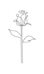 One line drawing. Garden rose with leaves. Hand drawn sketch. template